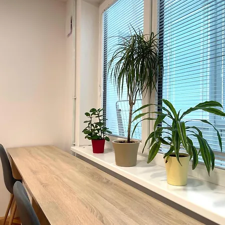 Apartment Flat Near The Center With Free Parking *